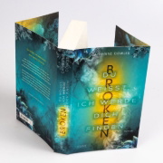 Buchcover und Innenansicht für das Buch: Broken Harbor