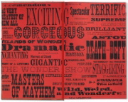 Buchcover und Innenansicht für das Buch: The Circus. 1870s-1950s