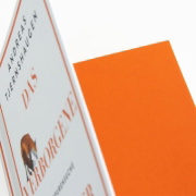 Buchcover und Innenansicht für das Buch: Reveb