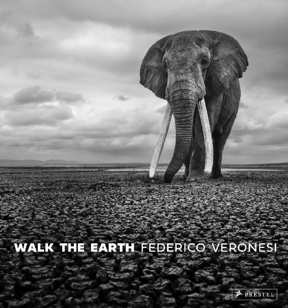Buchcover und Innenansicht für das Buch: Walk the Earth