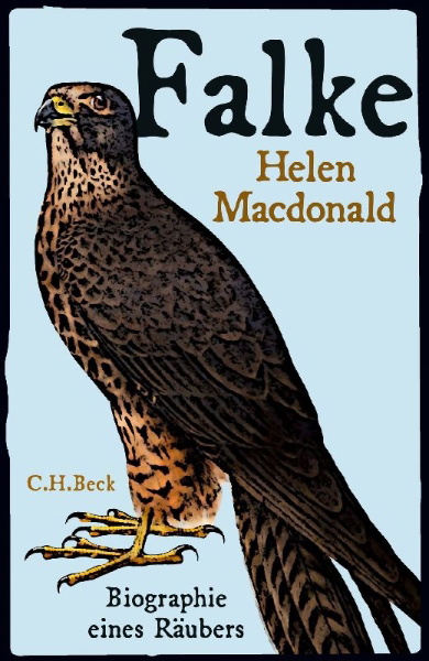 Buchcover und Innenansicht für das Buch: Falcon