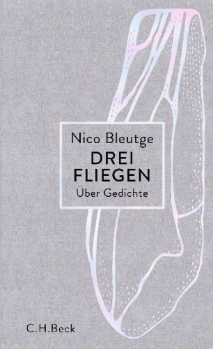 Buchcover und Innenansicht für das Buch: Drei Fliegen