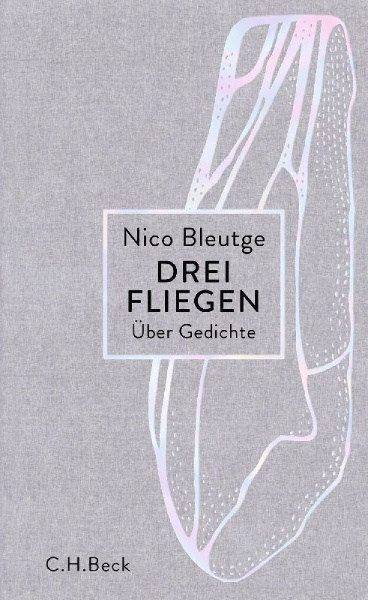 Buchcover und Innenansicht für das Buch: Drei Fliegen