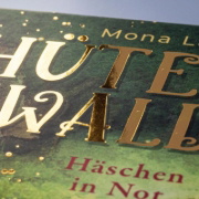 Buchcover und Innenansicht für das Buch: Forest Guardian
