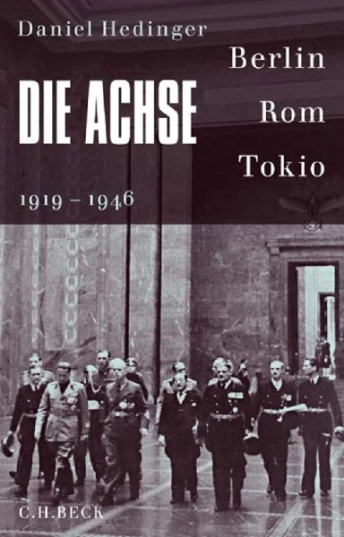 Buchcover und Innenansicht für das Buch: Die Achse