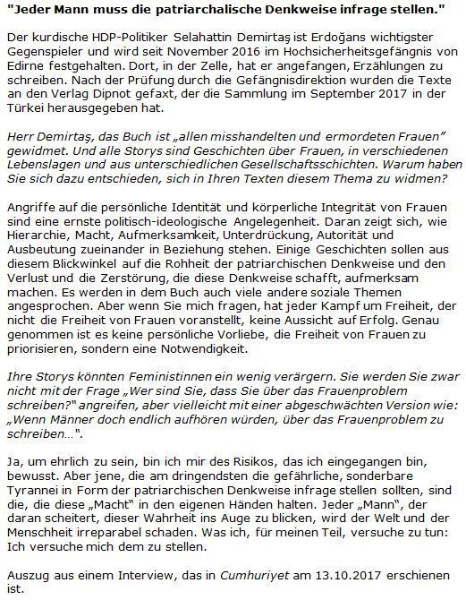 Buchcover und Innenansicht für das Buch: Seher