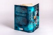 Buchcover und Innenansicht für das Buch: Fall of Ruin and Wrath