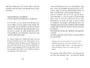 Buchcover und Innenansicht für das Buch: Bite-Sized Magic. A Bliss Novel