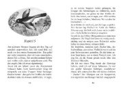 Buchcover und Innenansicht für das Buch: Bug Muldoon