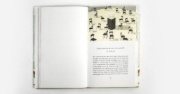 Buchcover und Innenansicht für das Buch: L'Invenzione occasionale