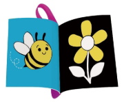 Buchcover und Innenansicht für das Buch: Play+ flip&pop Erste Bilder - ab 6 Monate