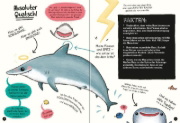 Buchcover und Innenansicht für das Buch: The Not Bad Animals