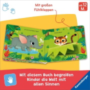 Buchcover und Innenansicht für das Buch: Wo bist du, kleiner Tiger?