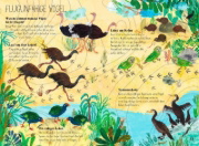Buchcover und Innenansicht für das Buch: The Big Book of Birds