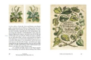 Buchcover und Innenansicht für das Buch: Maria Sibylla Merians Reise zu den Schmetterlingen