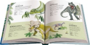 Buchcover und Innenansicht für das Buch: A Dinosaur a Day