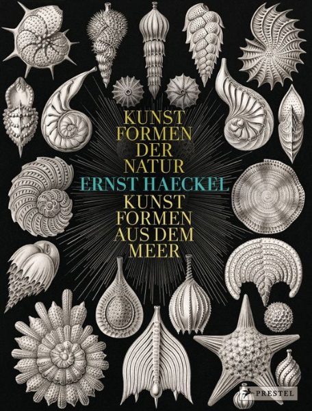 Buchcover und Innenansicht für das Buch: Ernst Haeckel
