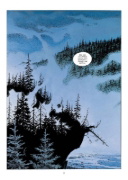 Buchcover und Innenansicht für das Buch: Thorgal Saga: Wendigo