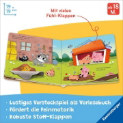 Buchcover und Innenansicht für das Buch: Wo seid ihr, kleine Kätzchen?