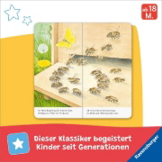 Buchcover und Innenansicht für das Buch: Ich bin die kleine Biene