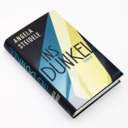 Buchcover und Innenansicht für das Buch: Ins Dunkel
