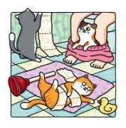 Buchcover und Innenansicht für das Buch: Cozy Coloring - Naughty Cats