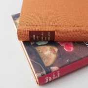Buchcover und Innenansicht für das Buch: Jude the Obscure