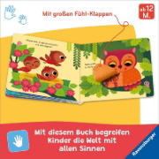 Buchcover und Innenansicht für das Buch: Wo bist du, kleine Eule?