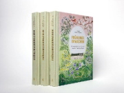 Buchcover und Innenansicht für das Buch: Frühlingserwachen