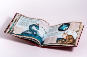 Buchcover und Innenansicht für das Buch: A Natural History of Magical Beasts