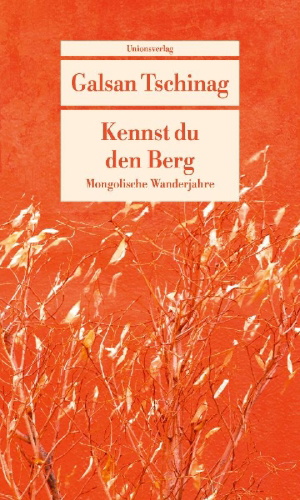Buchcover und Innenansicht für das Buch: Kennst du den Berg