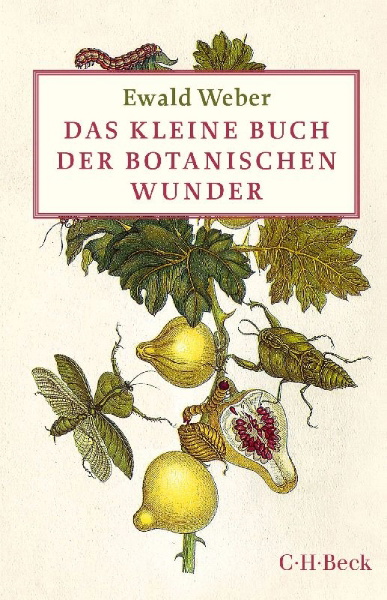 Buchcover und Innenansicht für das Buch: Das kleine Buch der botanischen Wunder
