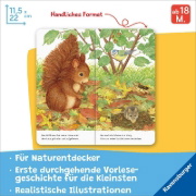 Buchcover und Innenansicht für das Buch: Ich bin das kleine Eichhörnchen