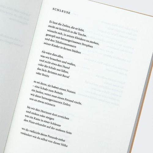 Buchcover und Innenansicht für das Buch: A year of last things