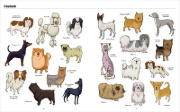 Buchcover und Innenansicht für das Buch: Big Dogs, Little Dogs