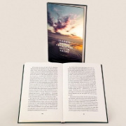 Buchcover und Innenansicht für das Buch: Tempo curvo a Krems