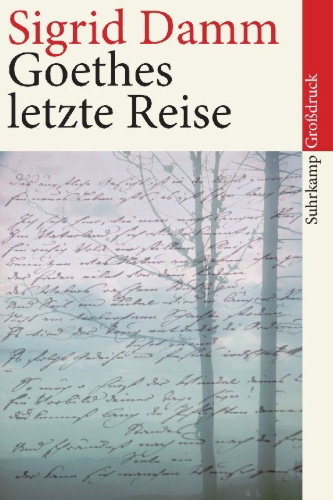 Buchcover und Innenansicht für das Buch: Goethes letzte Reise. Großdruck