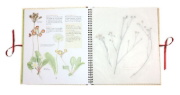 Buchcover und Innenansicht für das Buch: Humlans herbarium