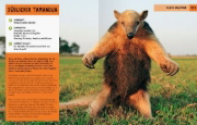 Buchcover und Innenansicht für das Buch: Superheroes of Nature ; Superpowers of Nature