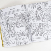 Buchcover und Innenansicht für das Buch: Evolution - Colouring and Activity Book