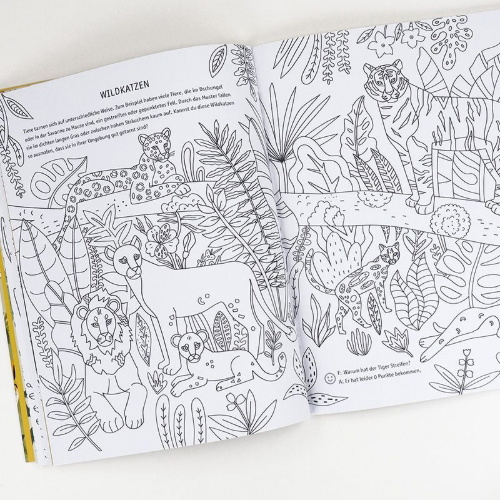 Buchcover und Innenansicht für das Buch: Evolution - Colouring and Activity Book