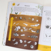 Buchcover und Innenansicht für das Buch: Evolution - Colouring and Activity Book