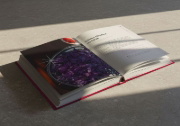 Buchcover und Innenansicht für das Buch: Forever Beautiful