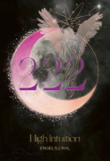 Buchcover und Innenansicht für das Buch: Cosmic Numbers (Numerologie)