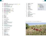 Buchcover und Innenansicht für das Buch: Reise Know-How InselTrip Ameland