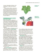 Buchcover und Innenansicht für das Buch: Das große Gemüse- und Obstgartenbuch