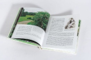 Buchcover und Innenansicht für das Buch: In the Garden with Jane Austen