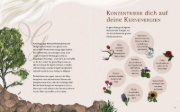 Buchcover und Innenansicht für das Buch: The Green Witch Illustrated: An Enchanting Immersion Into the Magic of Natural Witchcraft