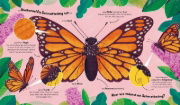 Buchcover und Innenansicht für das Buch: Watch Me Grow: Butterflies