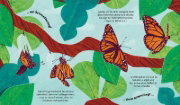 Buchcover und Innenansicht für das Buch: Watch Me Grow: Butterflies